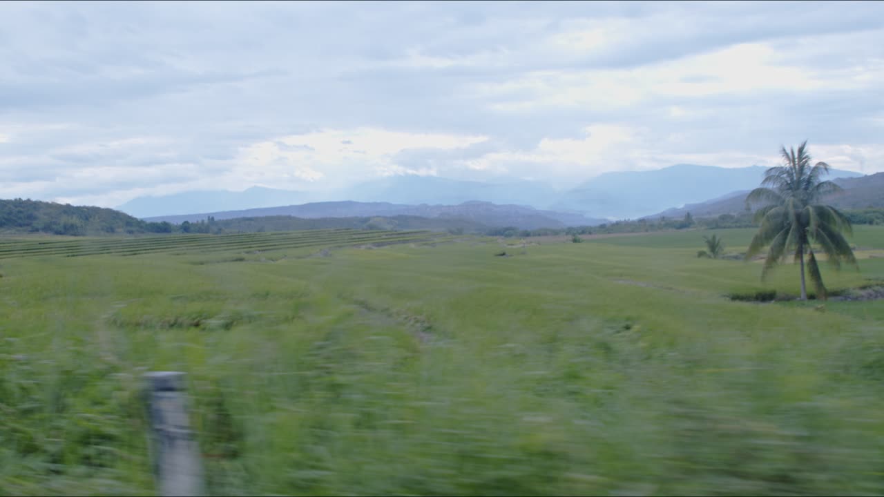campos de arroz en coche el horizonte, jaen, cajamarca 4k