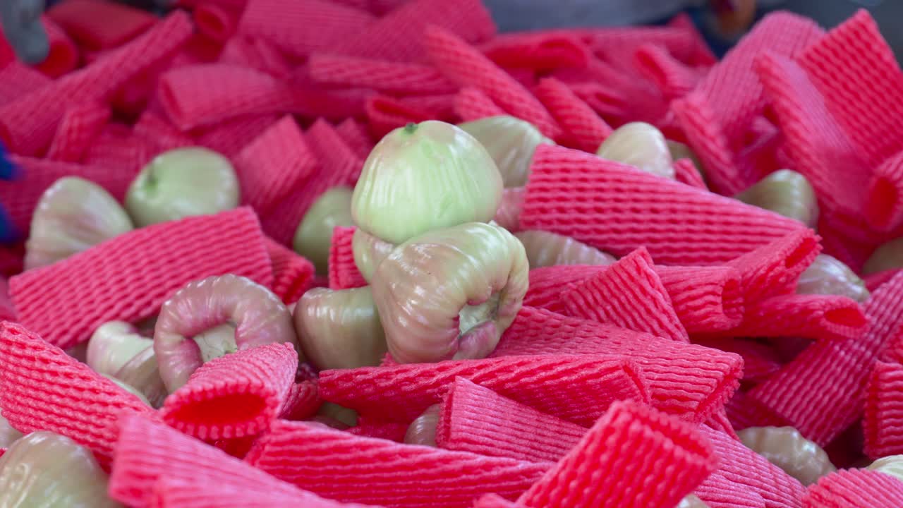 фруктовый рынок