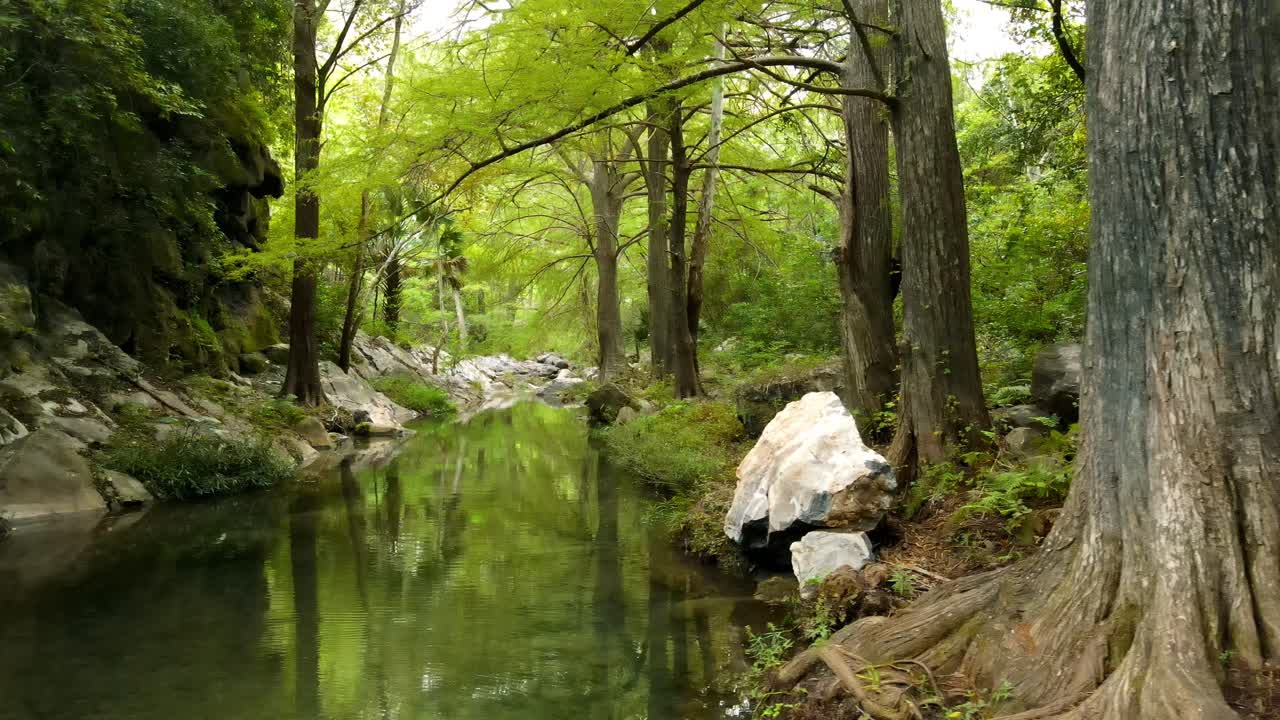 조용한 생태계의 마법의 풍경, 숲을 가로지르는 강, 나무와 바위 사이를 흐르는, 드론 영상