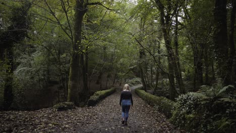 Female-Tourist-Walking-On-Trail-Through-Peaceful-Stretch-Of-Woodland-Landscape-At-Kennall-Vale-Near-Penryn-In-Cornwall,-UK