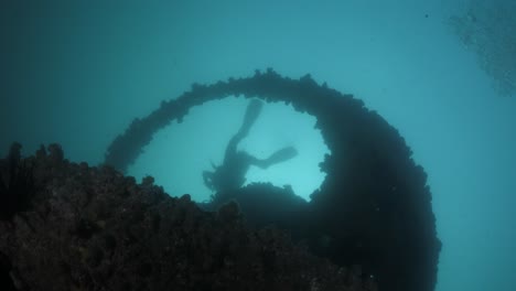 silhouette of a scuba diver swimming above a newly created underwater artificial reef art installation