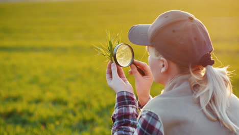 joven agrónoma estudiando brotes en el campo