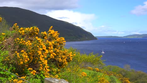 An-establishing-shot-of-Loch-Ness-Scotland