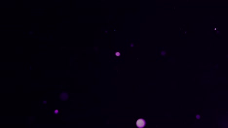 bolas bokeh danzantes de color púrpura para superposición de películas y efectos especiales
