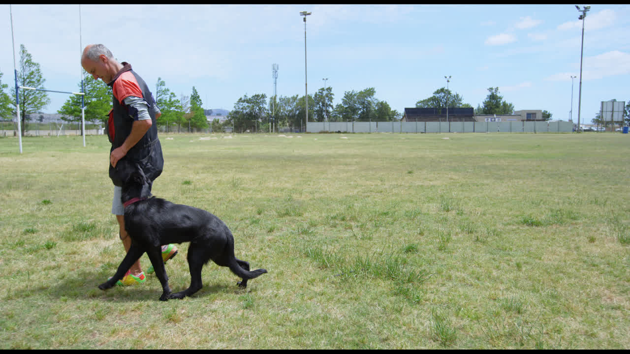 hombre caminando con el perro en el campo 4k