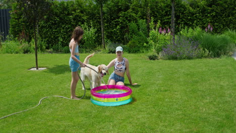 kids and dog having fun in the backyard