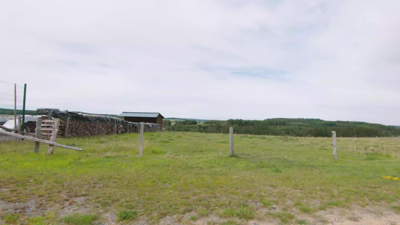 conduciendo por las hermosas colinas de las ardenas, bélgica, europa, 4k, 50fps