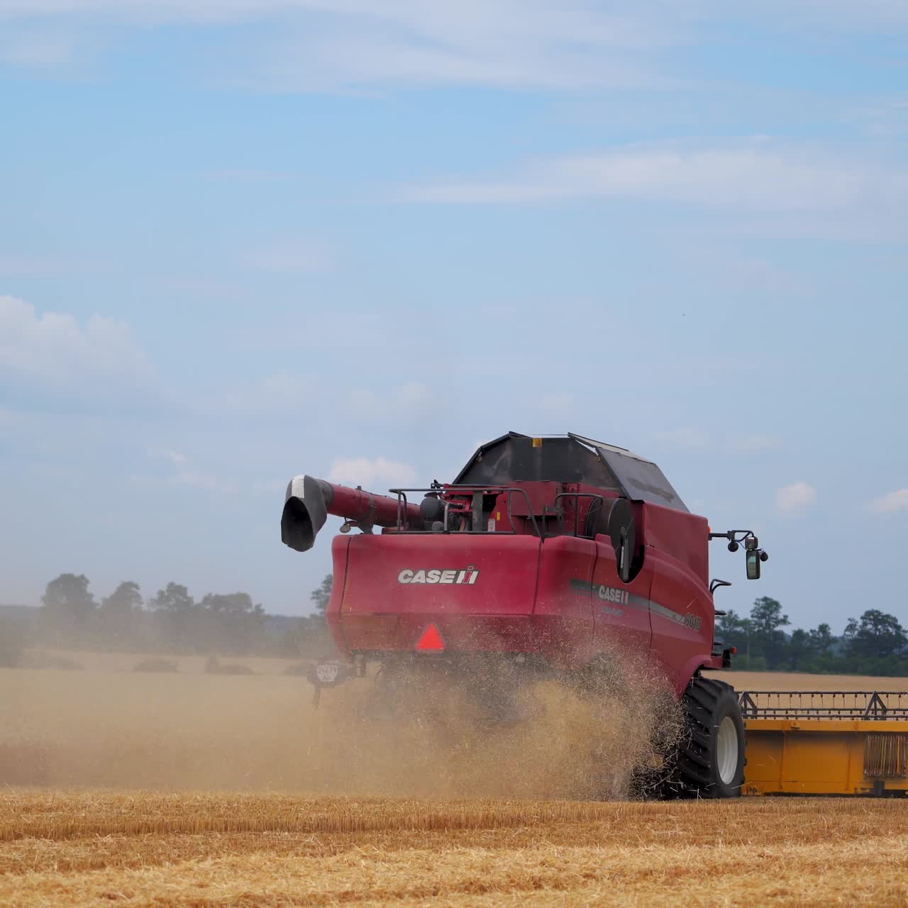 Agricultural combine harvests wheat