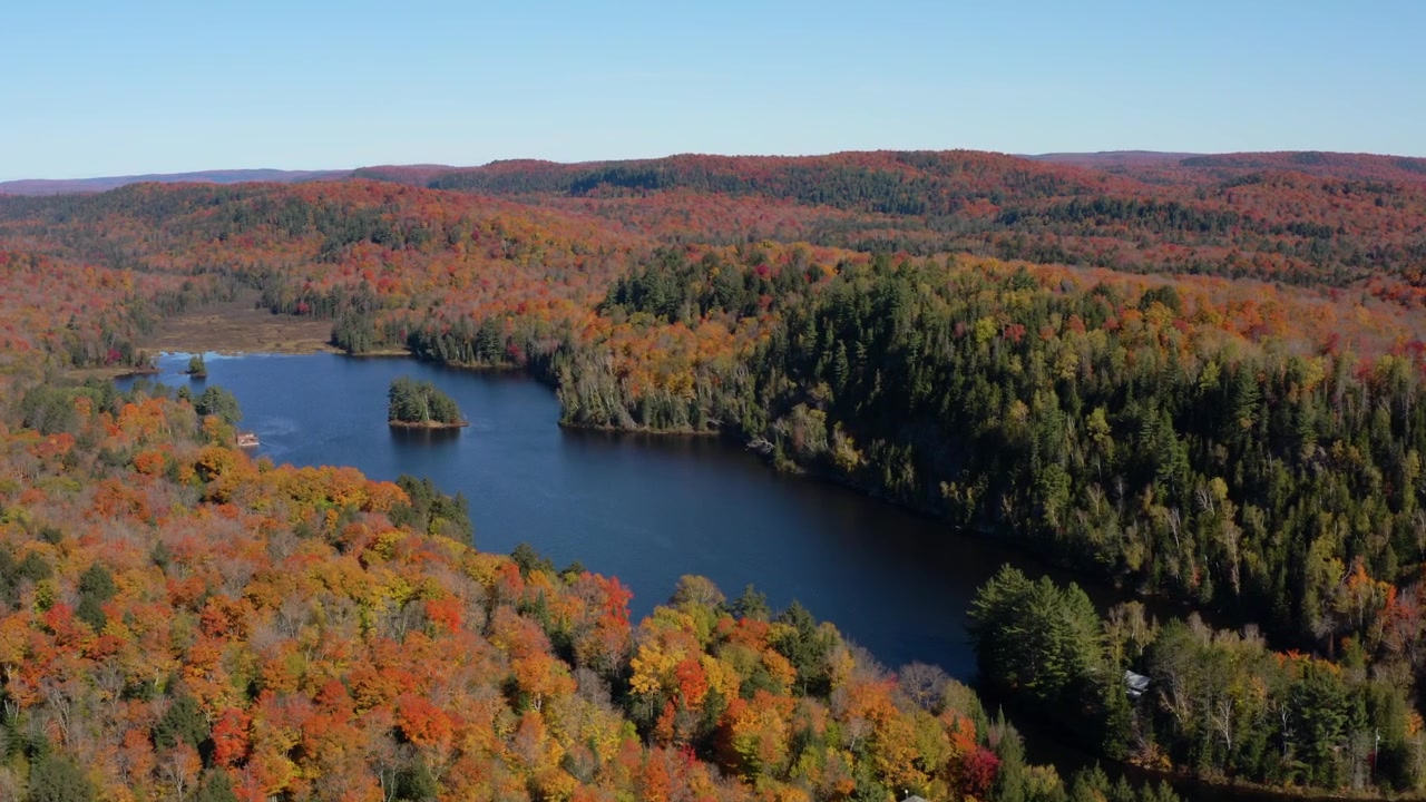 Ampia ripresa cinematografica con drone che si affaccia su foreste autunnali colorate che circondano un lago tranquillo in Ontario, Canada