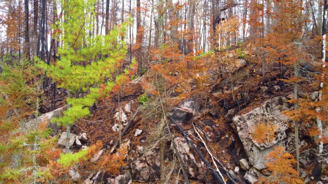 pov между скалистыми лесами деревья осень зима пейзаж природа прогулка снаружи