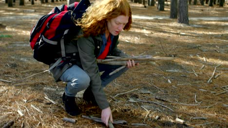 mujer recogiendo palos de madera en el bosque 4k