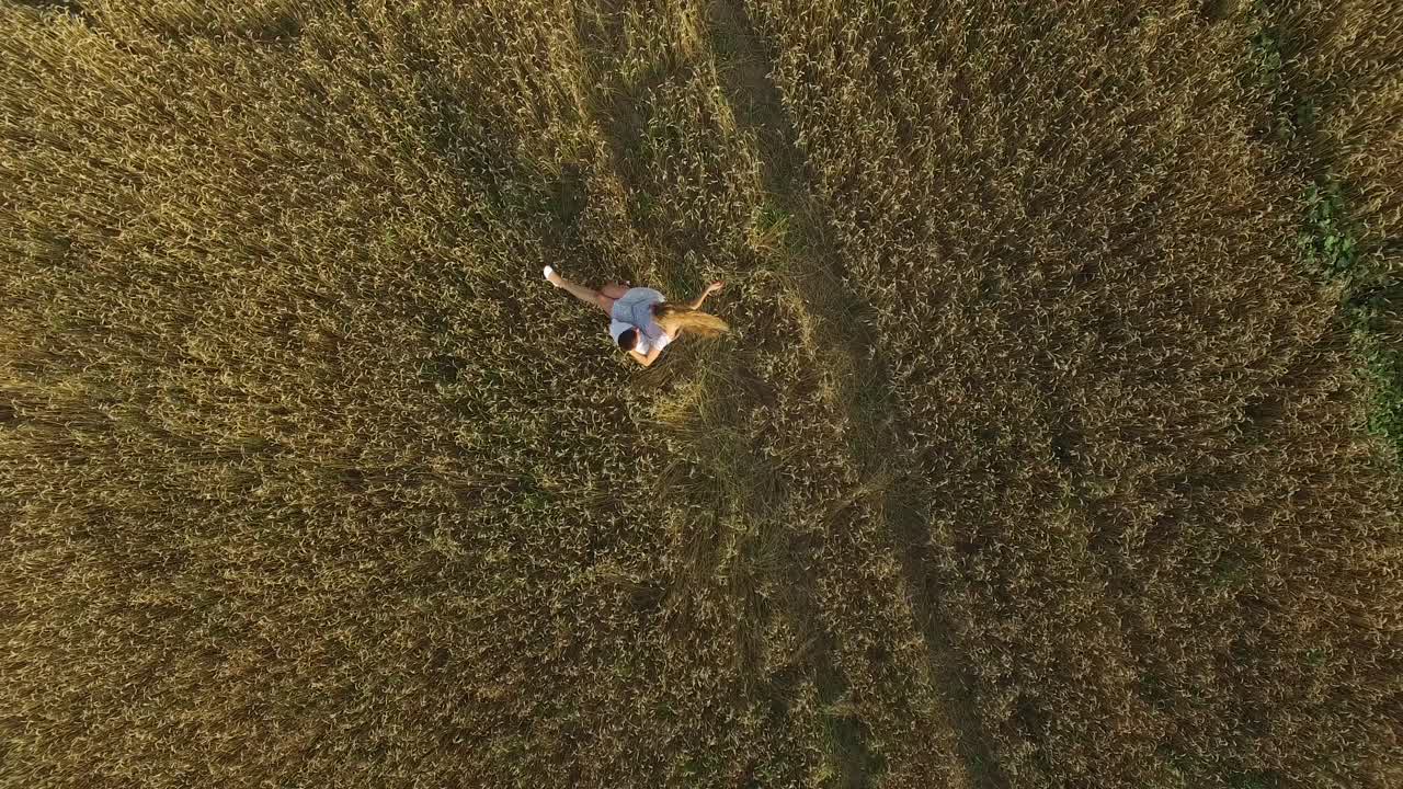 Lovers Walking In A Field. Aerial shot of a young woman being carried by her boyfriend in grass field