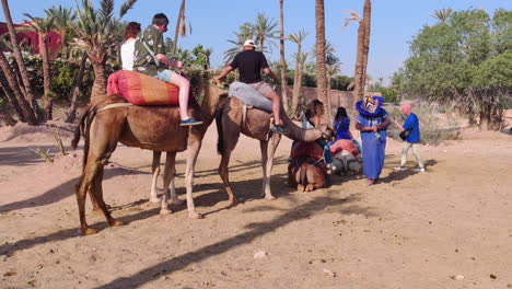 caucasian tourists on a guided camel tour in the desert at marrakesh in morocco.