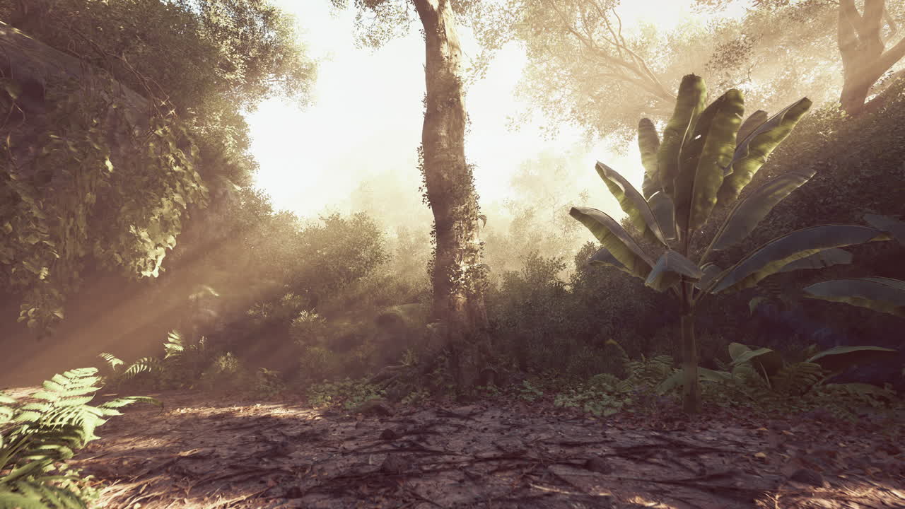 Sunlight filters through dense foliage in a tranquil jungle environment