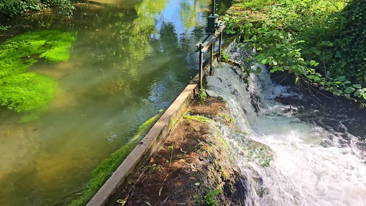 Static wide shot of a peaceful stream in Giverny splitting at a small dam and gentle waterfall