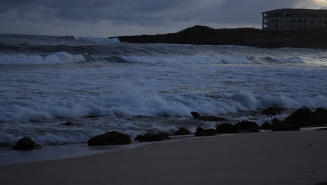 seal swims back into ocean as waves crash on shore