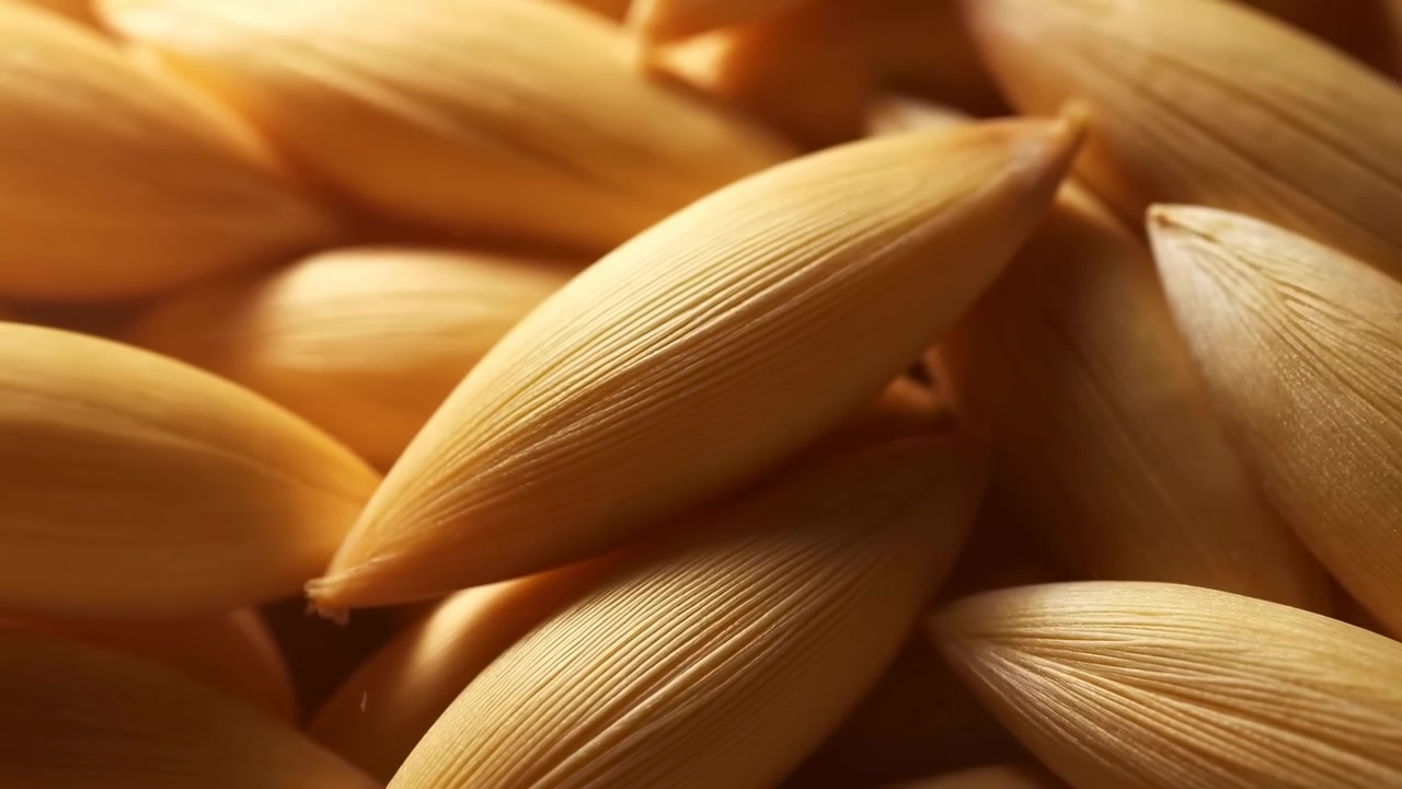 Vue macro serrée montrant une pile étagée de graines allongées, une graine centrale nette, avec de fines crêtes longitudinales, une pointe effilée, une surface fibreuse mate, un flou doux et des tons naturels chauds.