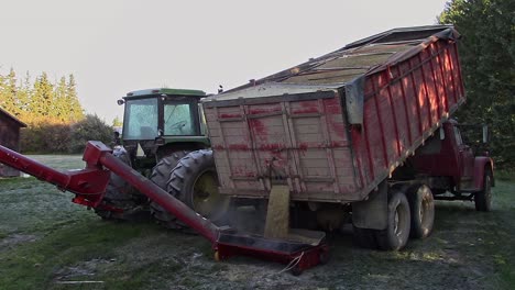 slomo descarga grano polvoriento de un camión de grano de eje tándem en un sinfín de giro accionado por tractor en una mañana soleada con hierba cubierta de escarcha