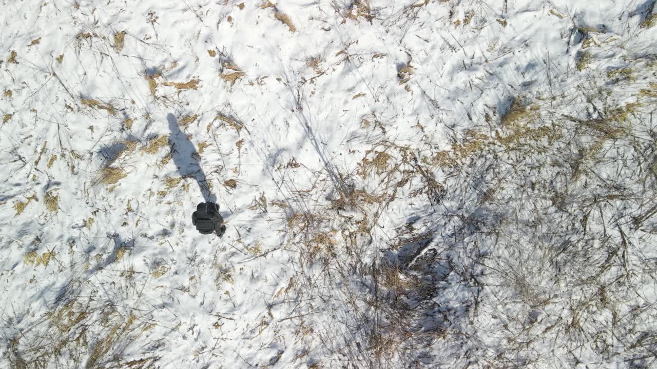 Top down aerial drone footage of a person in black clothing walking in winter nature landscape that is covered in white fluffy snow while sun is shining and creates shadows on the ground and grass.