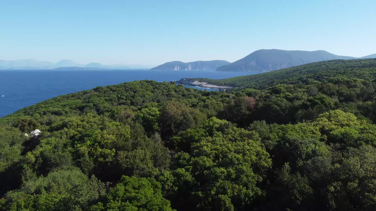 volando sobre un denso bosque verde con un océano azul profundo