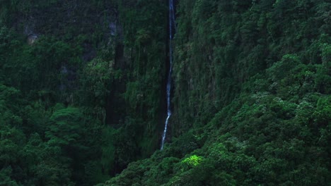 hidden waterfall in lush tropical forest