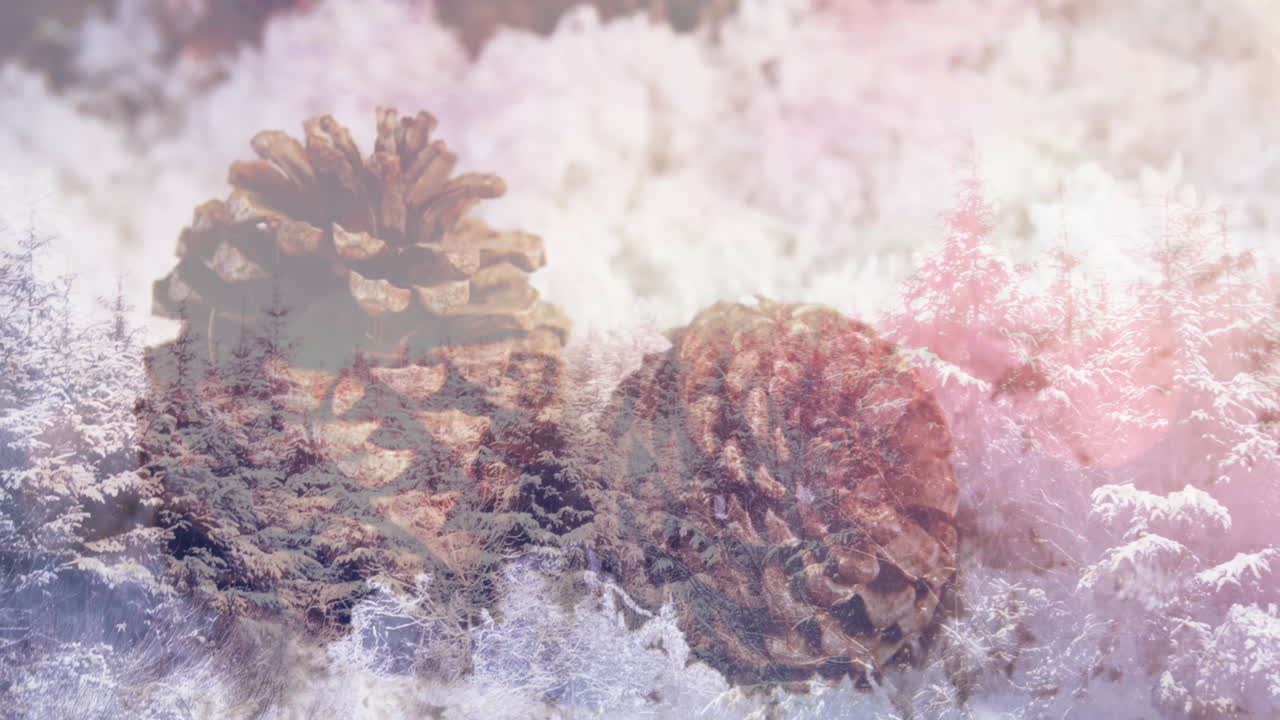 Animation of two pine cones in snow over winter scenery
