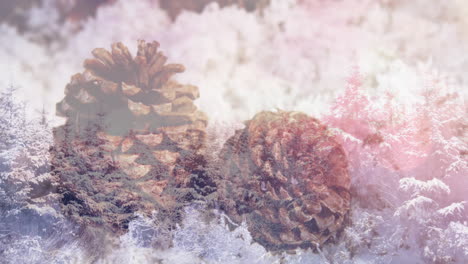 animation of two pine cones in snow over winter scenery