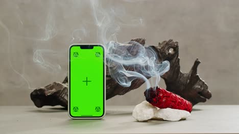 person holding palo santo wood stick in hand, aromatic palo santo burning on black background, smoke spreading around, slow motion video clip, high quality 4k close up footage. high quality 4k footage