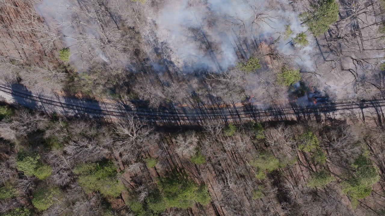 Static aerial footage of railroad tracks in the middle of a forest with small fires all around it.