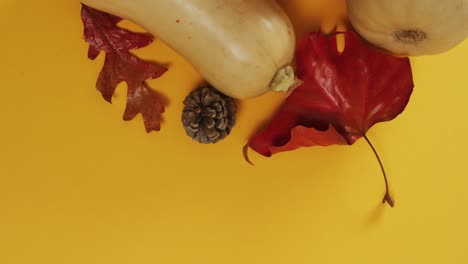 Video-of-pumpkins-with-pinecones-and-autumn-leaves-on-orange-background