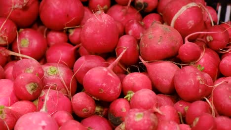 red radish for sale at a local farmers market red radish for sale at a local farmers market fresh spring harvest