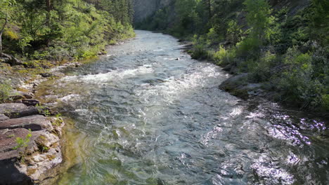 Serene-Flowing-Forest-River-with-Slow-Pan-Up---4K