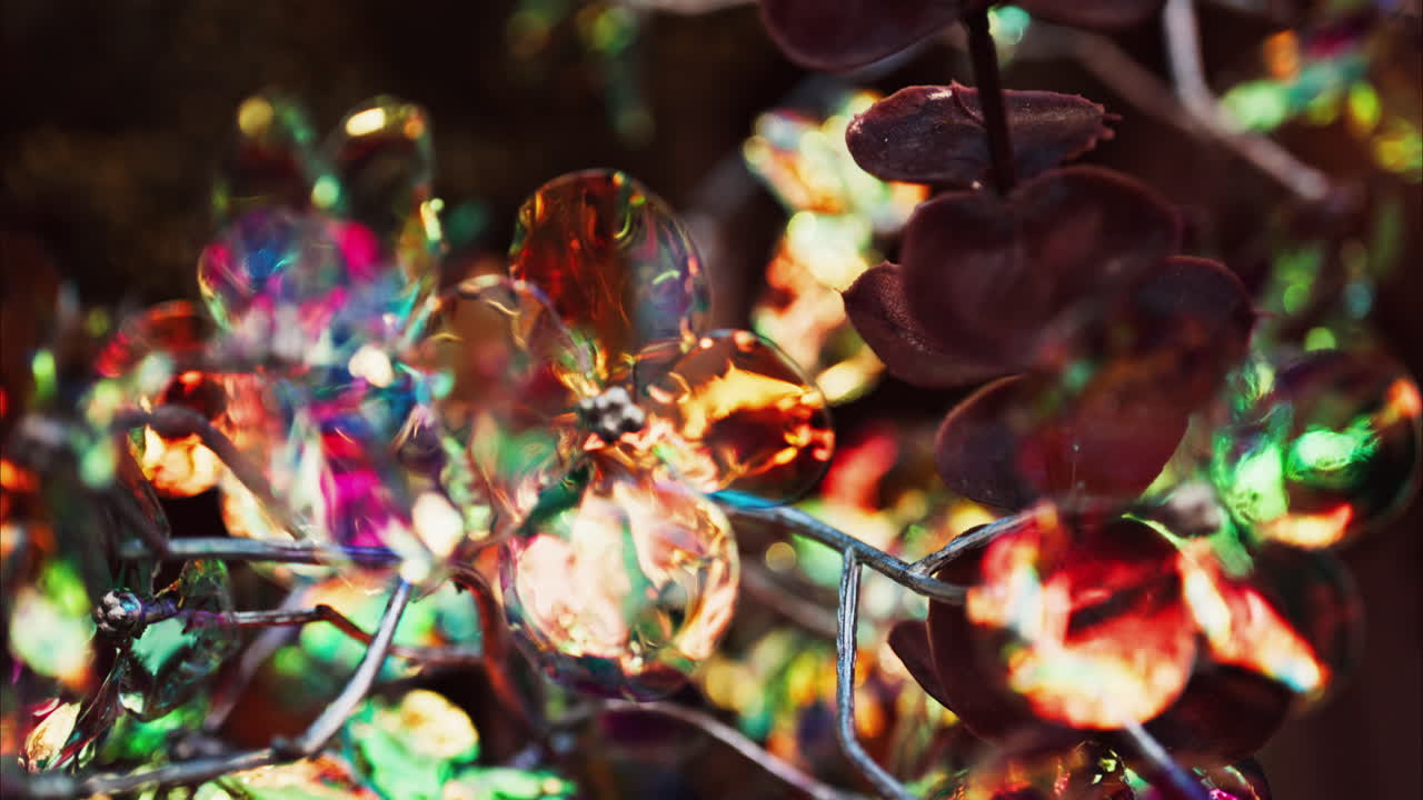 Close up of colourful Christmas lights in the shape of flowers on a tree