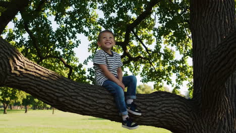 a young boy happily sits on a tree branch in a park