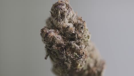 zoom in close-up of a marijuana bud.