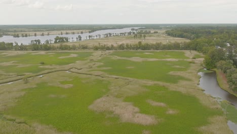 historic rice fields in south carolina along waccamaw river