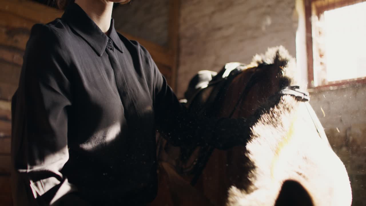 mujer arreglando un caballo en un establo