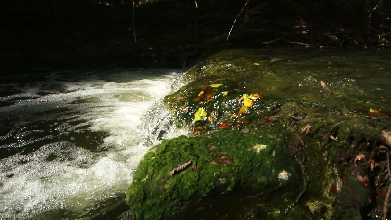 흐름이 씻을 수 있을 만큼 강하지 않은 폭포 위에 거대한 조류와 이끼가 쌓이고 조류에 많은 잎이 부딪쳤습니다.