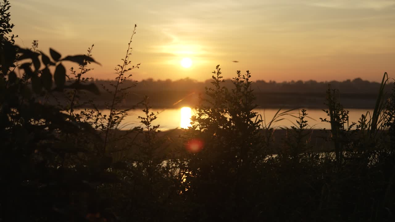 Warm golden sun dips over a calm river as plants silhouette in the foreground, cinematic glow for tranquil travel moods