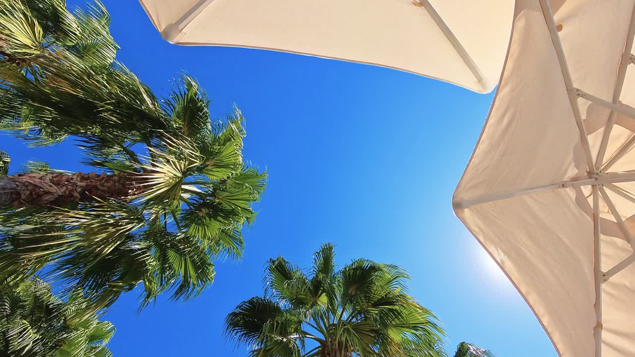 Relax sotto le palme su una spiaggia assolata