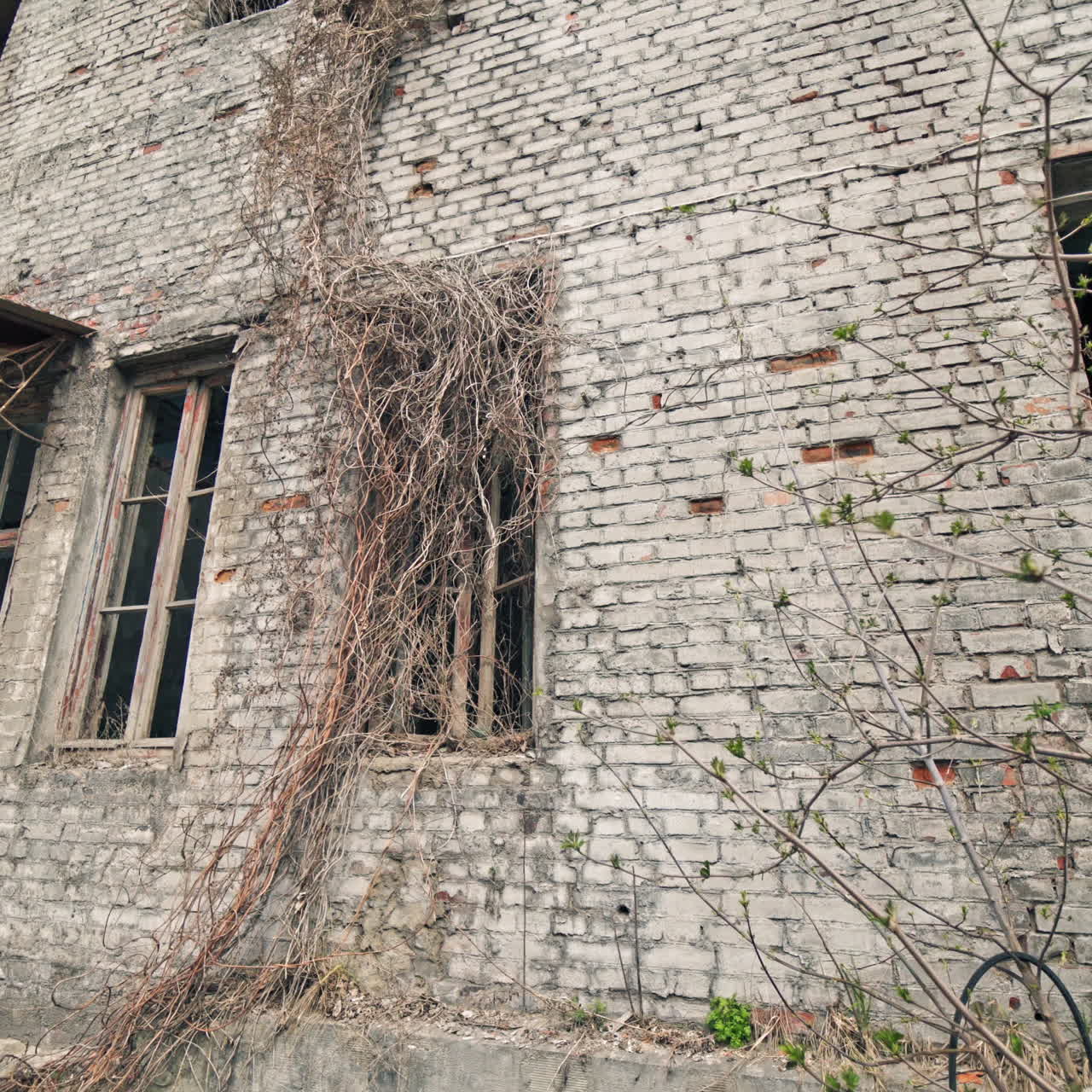 Abandoned industrial building. Ruins of an old factory.