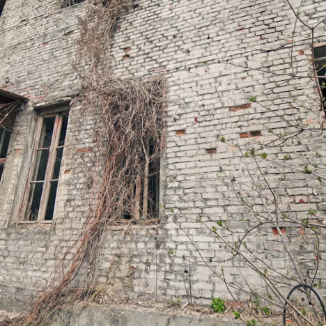 abandoned industrial building. ruins of an old factory.