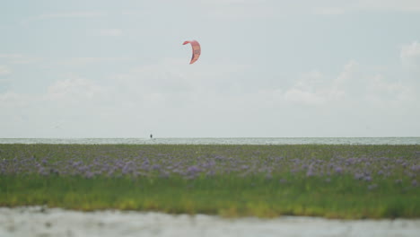 static wide shot of a kite surfer surfing on the water from left to right on a sunny day