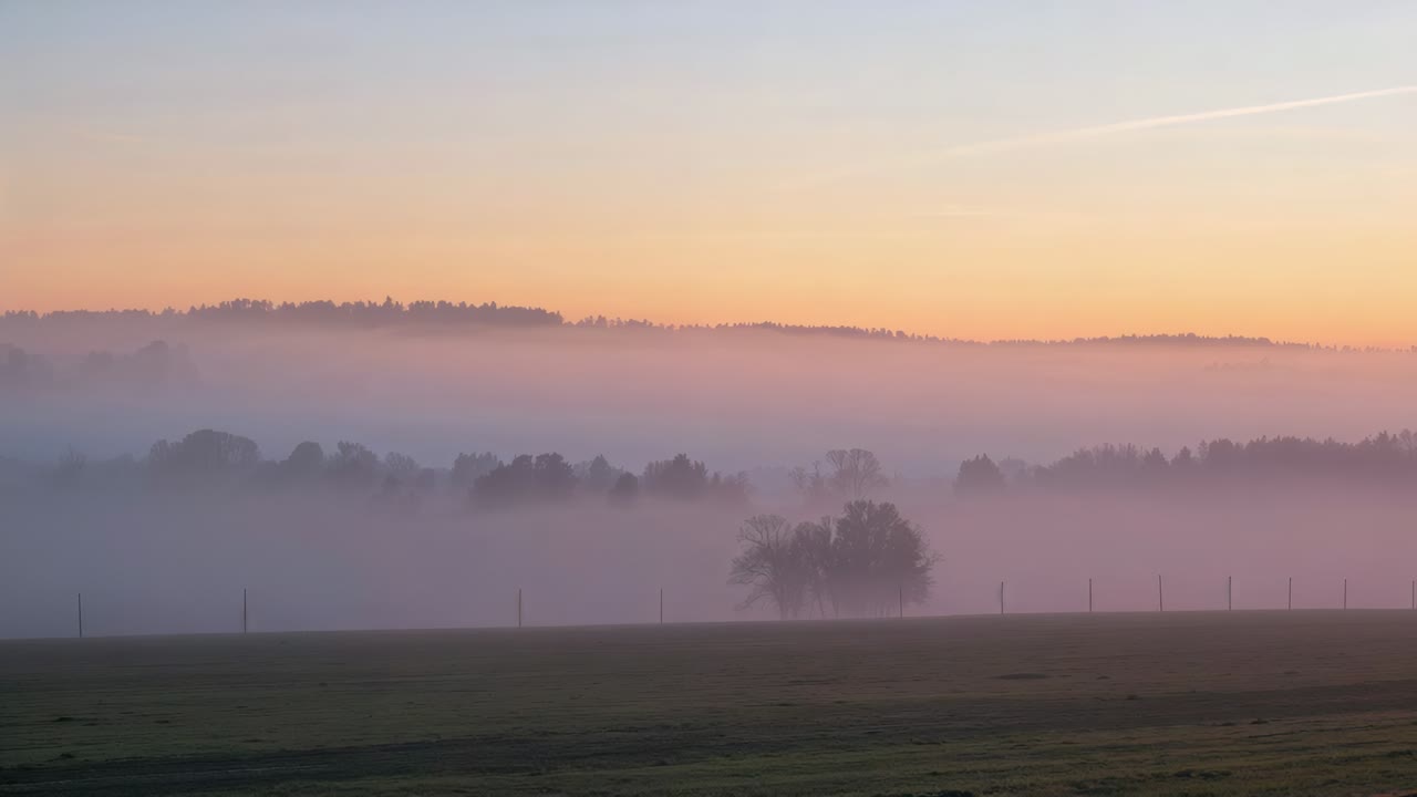 Kirkastuva auringonnousun hehku saa sumun harvenemaan, paljastaen yksinäisen lehtipuun maalaislaaksossa