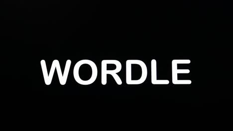 typing on the screen with a flashing paragraph forming the word wordle, in white on a black background