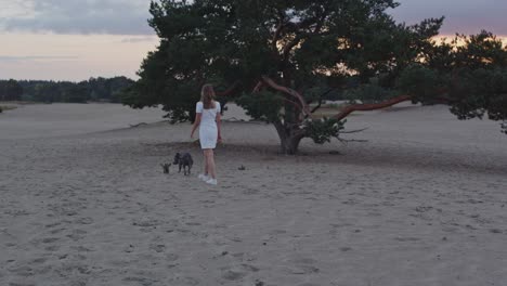 Mujer-Joven-Con-Un-American-Staffordshire-Terrier-Alejándose-De-La-Cámara-Pasando-Por-Un-árbol-En-Hermosas-Dunas-De-Arena-Al-Atardecer