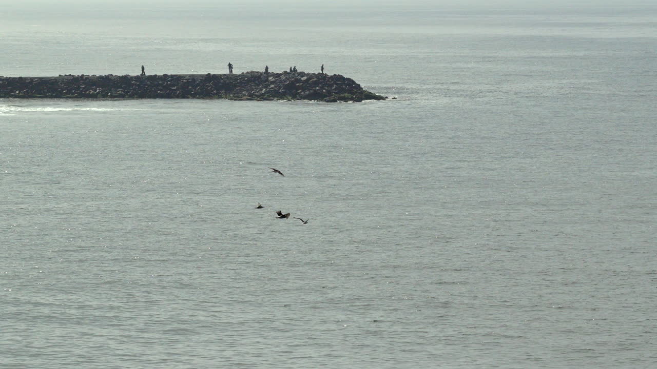 Calm seascape with small rocky visitor's viewpoint and birds flying over water top, Barra Velha, Santa Catarina, Brazil
