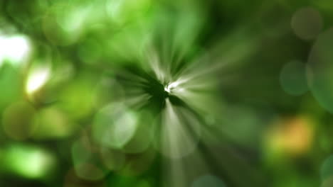 abstract green bokeh background with light rays