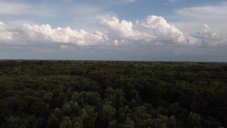 aerial forward flight over dense green amazon rainforest at sunset with white clouds at sky