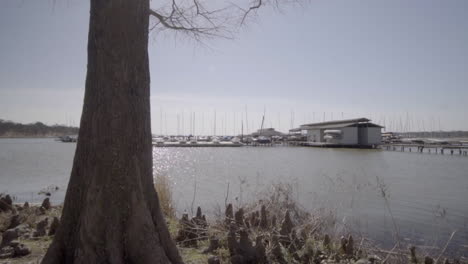 this is a moving shot of a boat dock at white rock lake park in dallas, tx